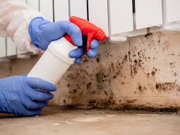 Best Biohazard Mold Removal  in Harrington Park, NJ